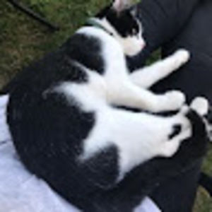 Meet your Posher, Crae